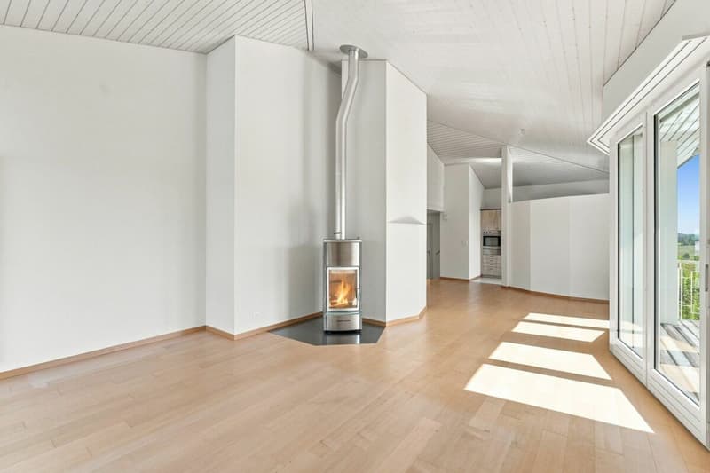 Wohnzimmer, 3.5 Zimmer Wohnung