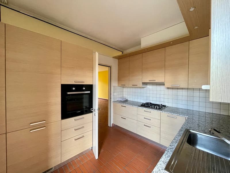 modern kitchen, wooden cabinets, granite countertop, stainless steel sink, built-in oven and gas stove, dishwasher, washing machine