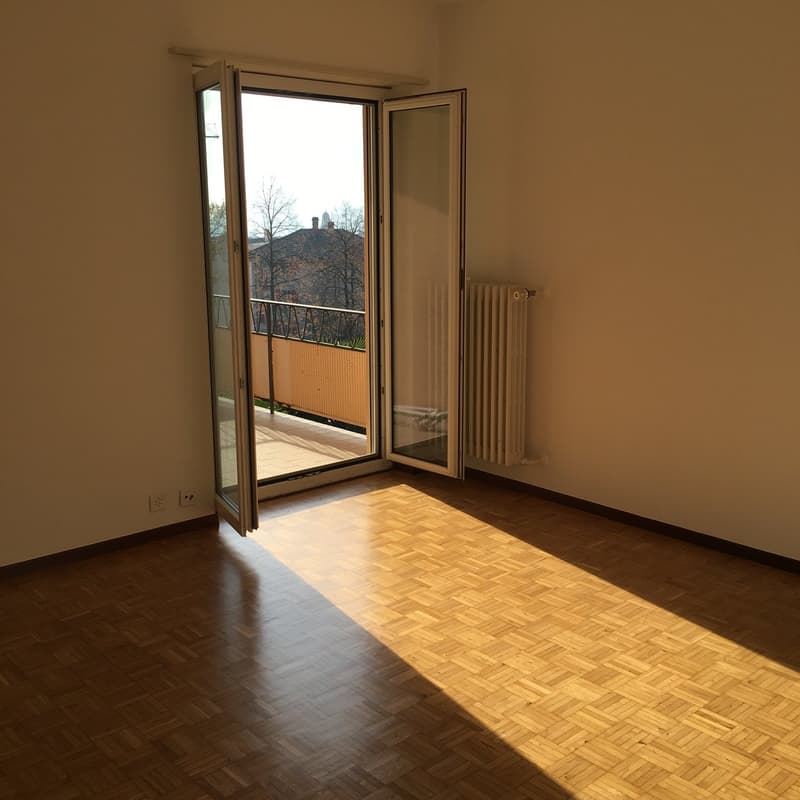 Appartamento di 2.5 locali con balcone a Lugano (2)
