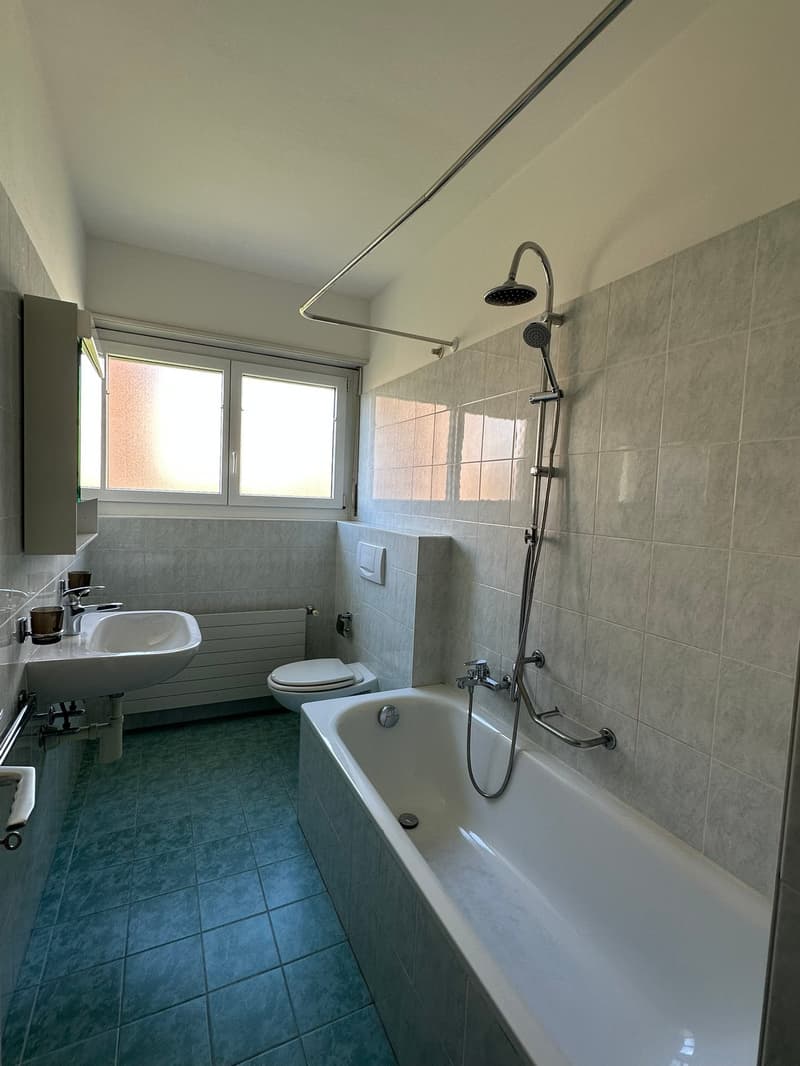 Appartamento di 2.5 locali con balcone a Lugano (4)