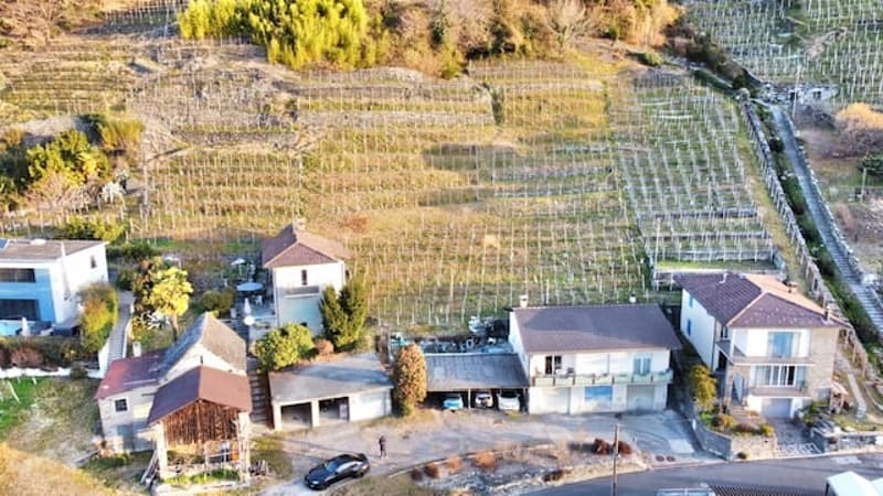 Aerial view of a rural residential area with several houses, garages, and vineyards or agricultural fields in the background.
