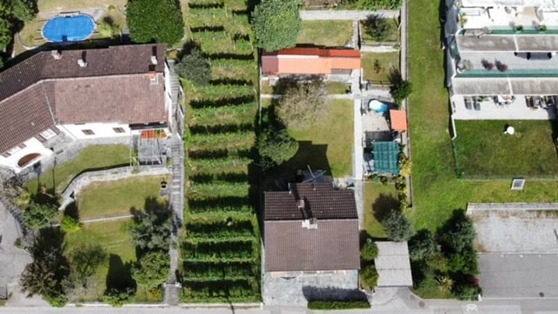 Two-story house with a red tile roof, surrounded by a well-maintained garden with trees and a swimming pool in the backyard.