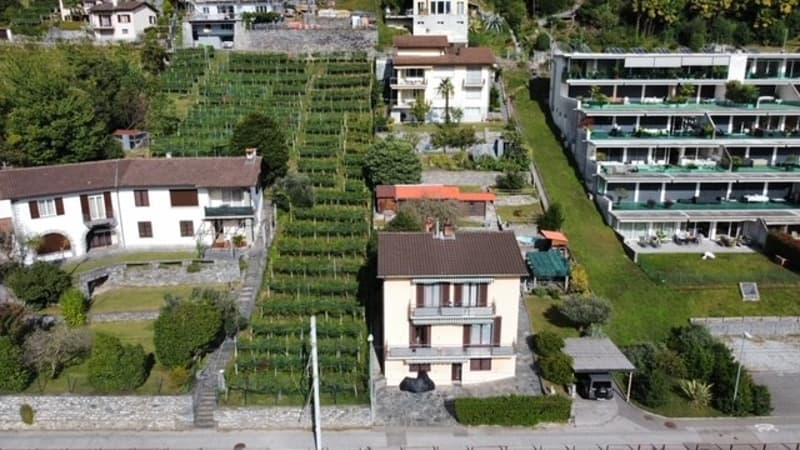 SOLDUNO - VENDESI CASA BIFAMILIARE CON AMPIO TERRENO (2)