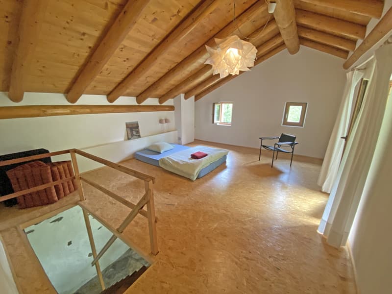 Bella proprietà con 2 rustici immersa nel verde / Schöne Liegenschaft mit 2 Rustico's im Grünen (7)