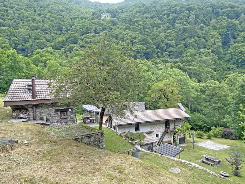 Bella proprietà con 2 rustici immersa nel verde / Schöne Liegenschaft mit 2 Rustico's im Grünen (3)