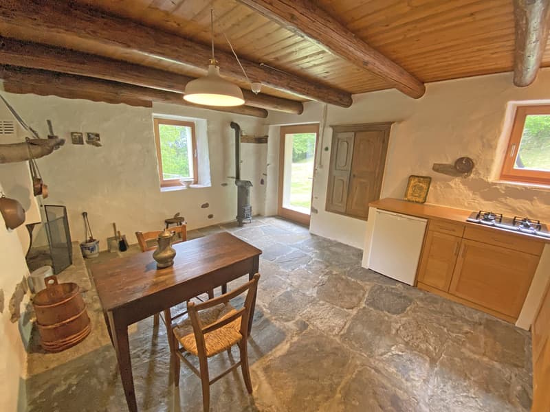 Bella proprietà con 2 rustici immersa nel verde / Schöne Liegenschaft mit 2 Rustico's im Grünen (5)