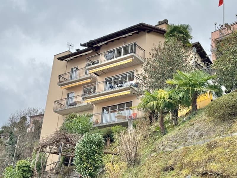 3-story apartment building with balconies, located on a hillside with palm trees and other vegetation surrounding it.
