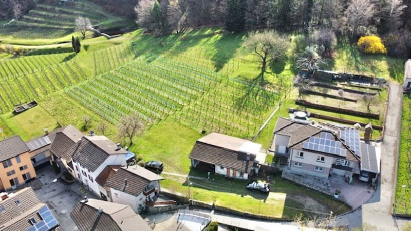 In Cumlina 29, 6528 Bellinzona