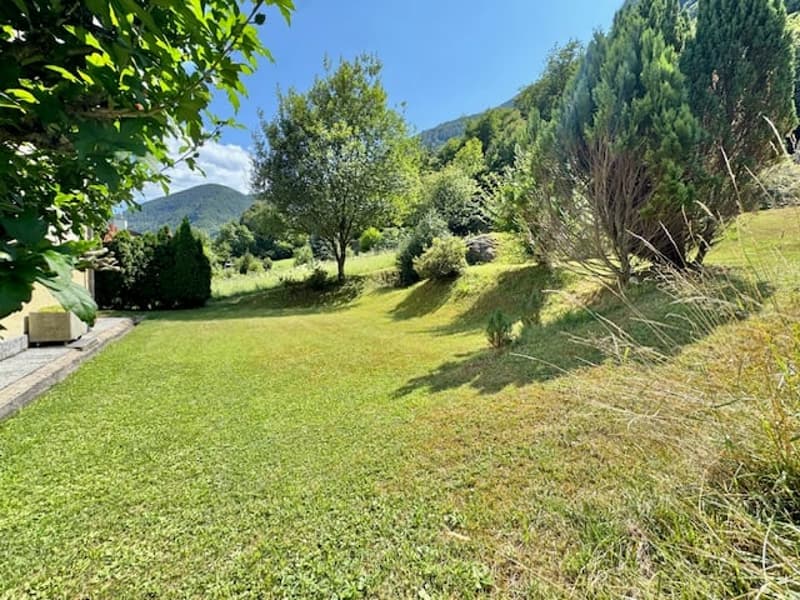 Lush green meadow with trees, surrounded by mountains and forests in the background. The scene appears to be a peaceful and scenic rural setting.