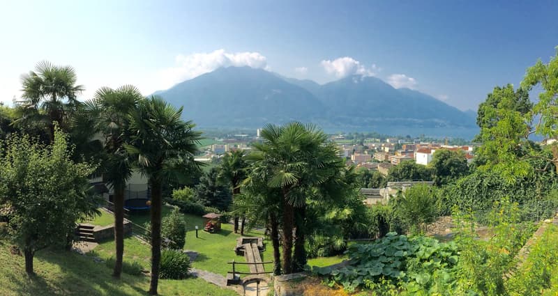 A garden with a clear view of the mountains in the distance and a city below