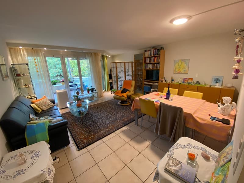 Balcony, double couch, wooden dining table, carpet, dining chairs, TV cabinet, bookshelf, paintings