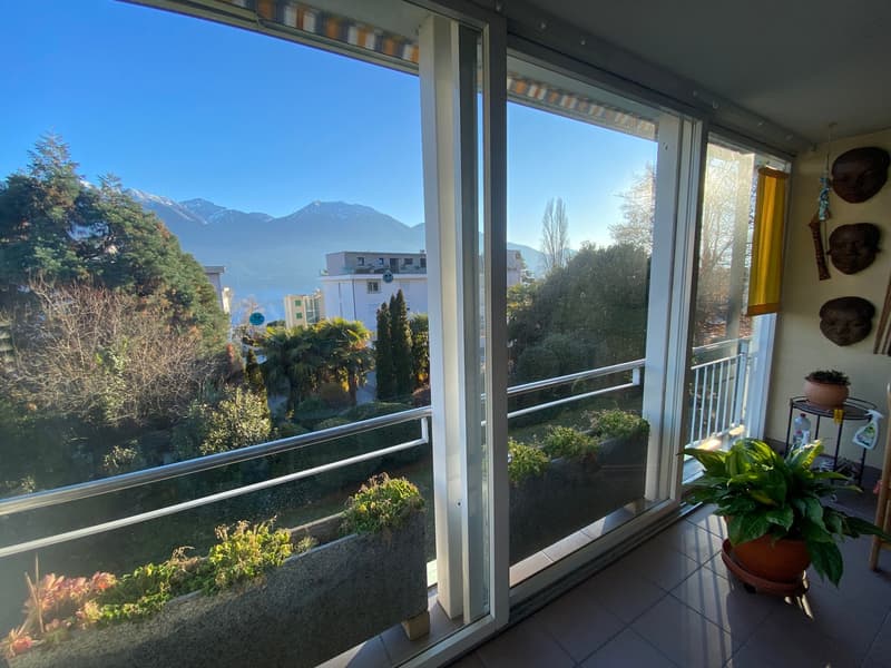 balcony, large glass doors, balcony railing, green plants, mountain view, potted plants