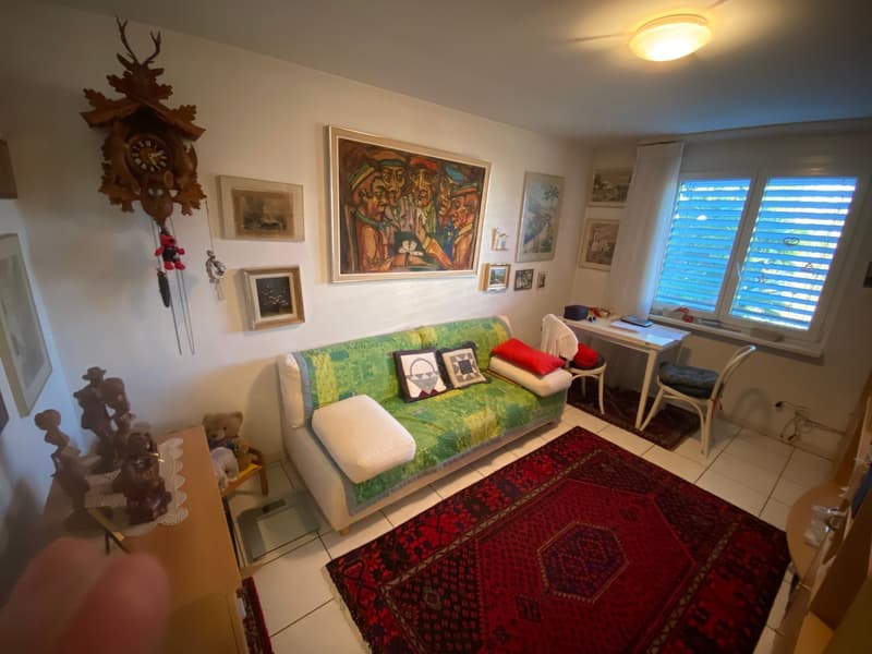 sofa, red carpet, desk, painting, cuckoo clock, stuffed animals, window, chair, rugs