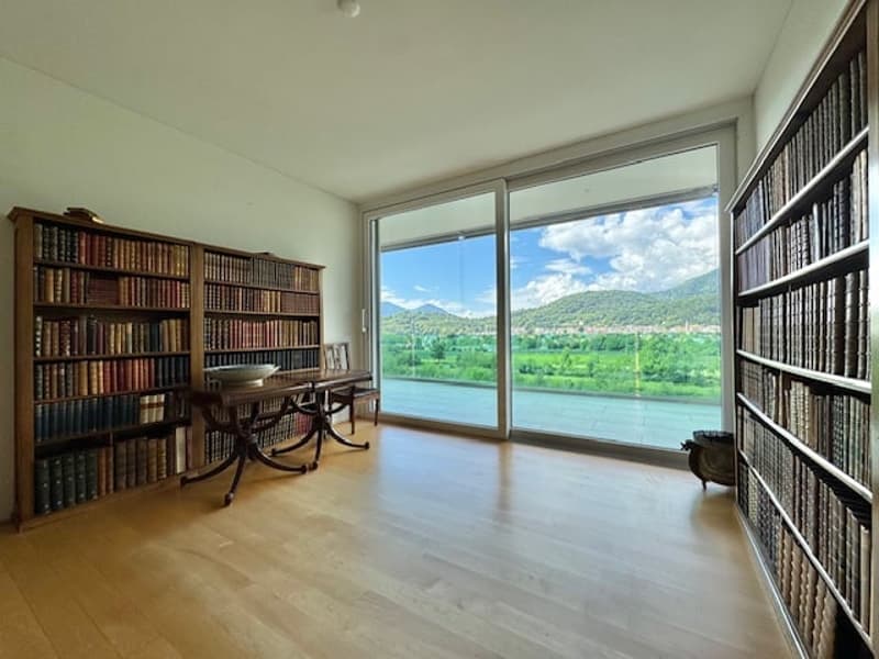 Large room with floor-to-ceiling bookshelves lining the walls, a wooden desk, and a panoramic window overlooking a scenic outdoor landscape with mountains and greenery.