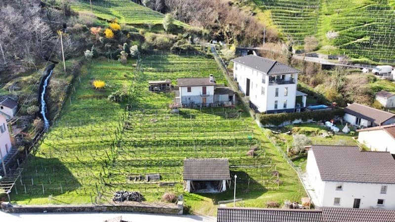 Two-story house surrounded by terraced vineyards and gardens, with a stream running through the property. The house has a balcony or terrace with a scenic view of the rural landscape.