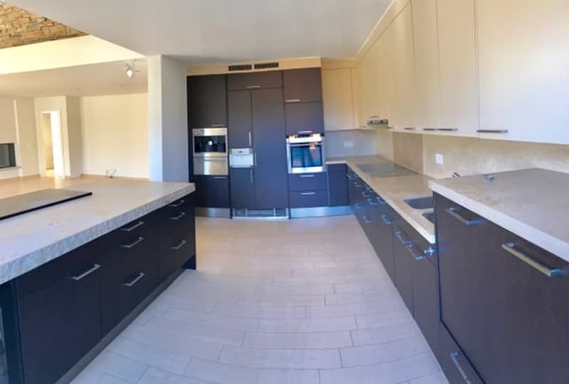 ASCONA - AFFITTASI ATTICO DUPLEX DI 7 LOCALI (10)