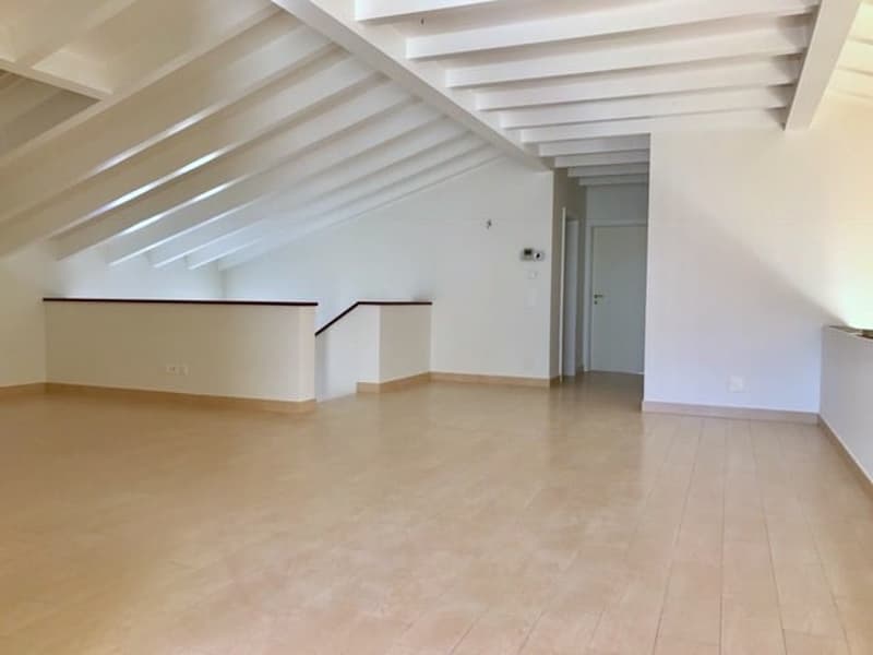 ASCONA - AFFITTASI ATTICO DUPLEX DI 7 LOCALI (7)