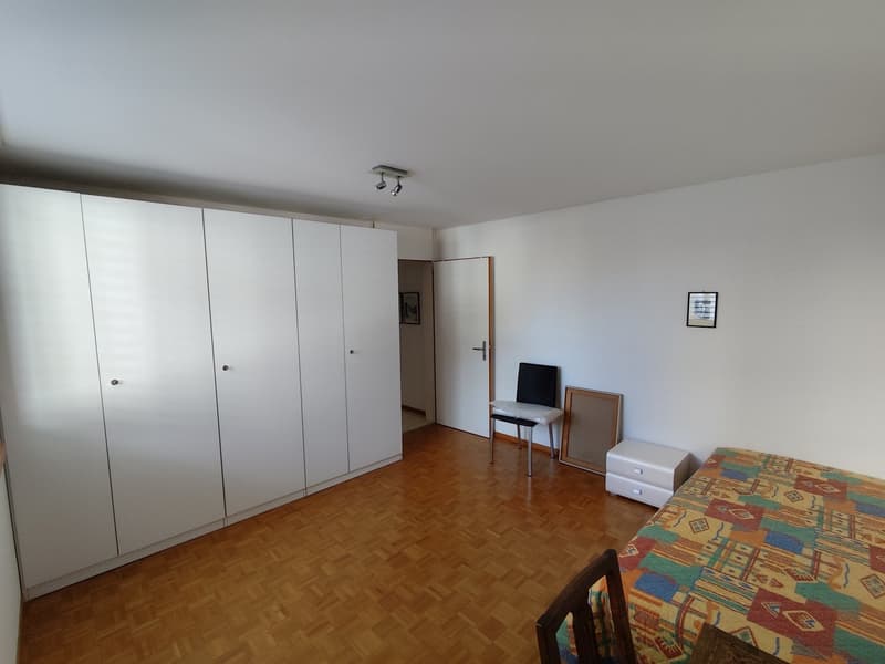 Appartamento di 4.5 locali rinnovato e ammobiliato – ideale come casa secondaria (7)