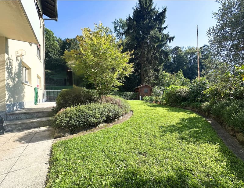Stabile Plurifamiliare a Reddito Lugano-Viganello (2)