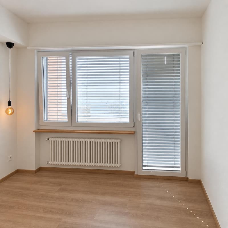 Ristrutturato  2.5 locali a Lugano-Cassarate (6)