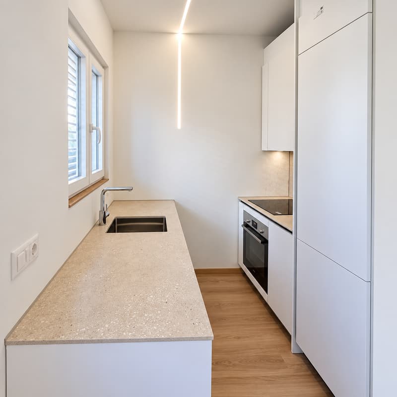 Ristrutturato  2.5 locali a Lugano-Cassarate (7)