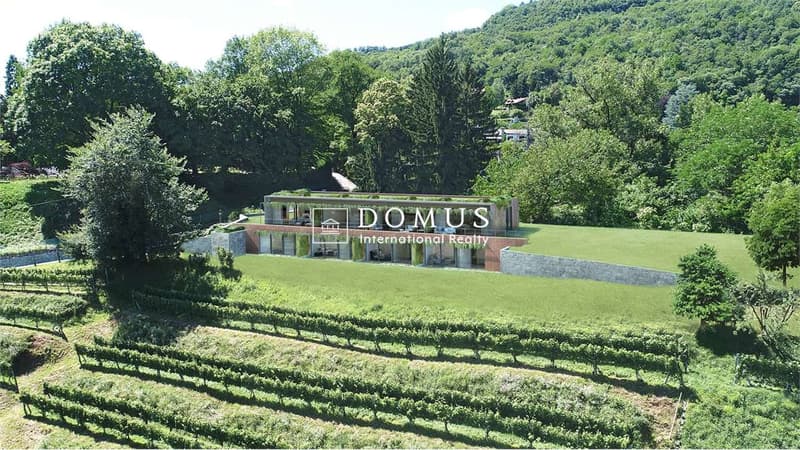 Fantastica villa immersa nel verde (12)