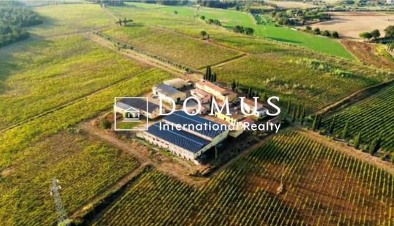 Vendita azienda agricola (3)