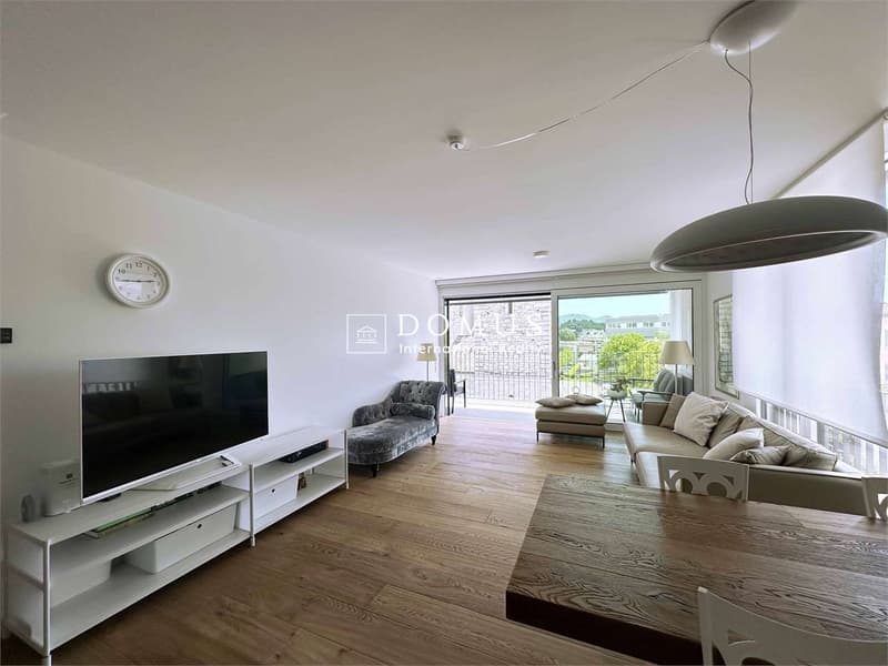 Moderno 3,5 locali con grande terrazzo (2)