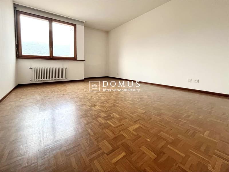 Spazioso attico di 6 locali anche uffici (3)