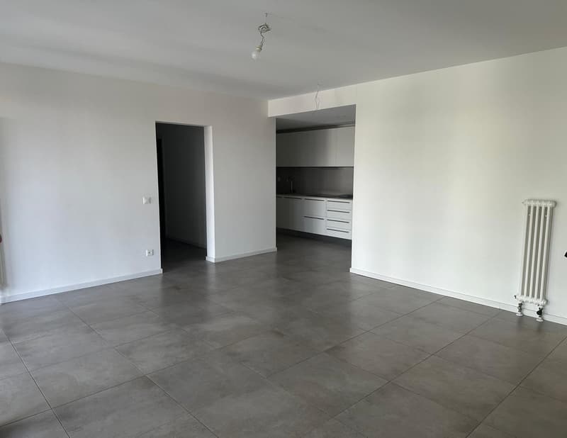Moderno appartamento 2.5 locali con terrazza e giardino privato a Pazzallo (3)
