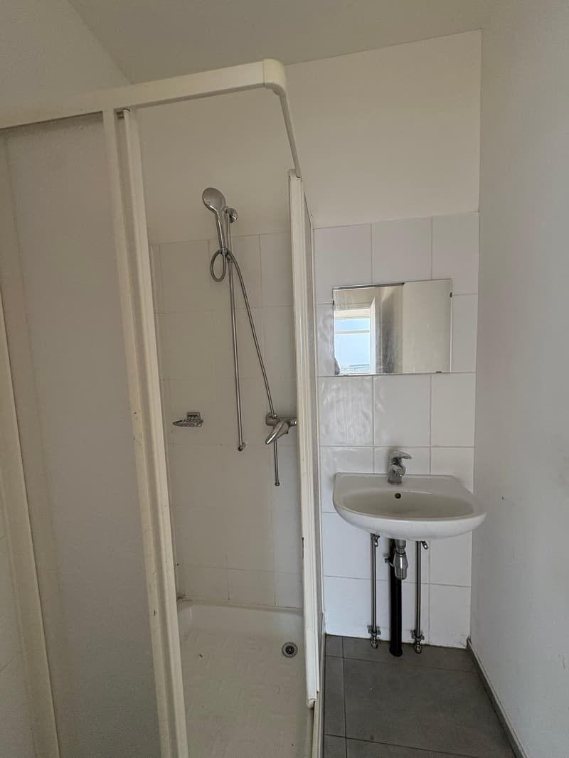Modern bathroom with white tiles, shower stall, sink, mirror, and stainless steel showerhead
