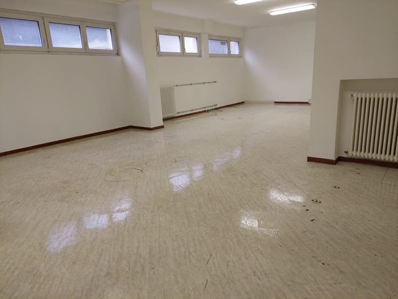 Empty room, white walls, white floor, windows, radiators