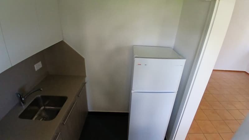 Accogliente appartamento di 1.5 locali a Viganello (5)