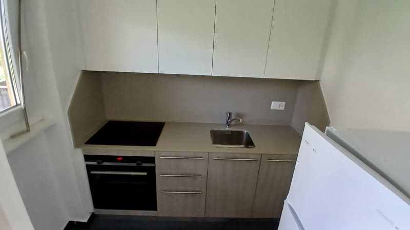 Accogliente appartamento di 1.5 locali a Viganello (4)