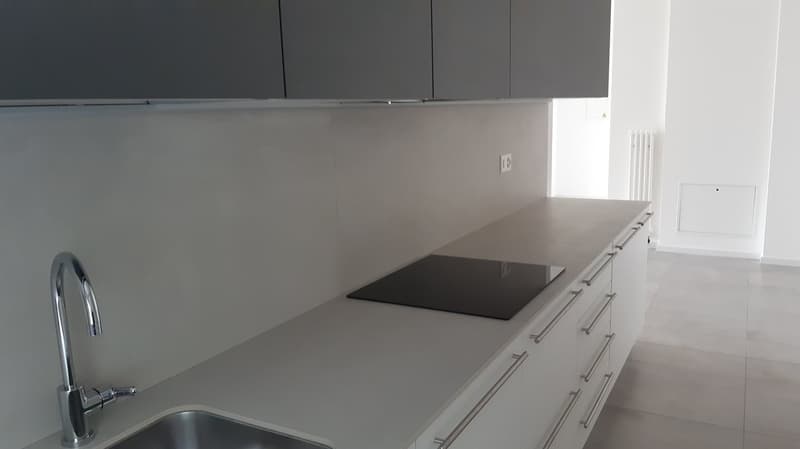 Moderno appartamento 2.5 locali con terrazza e giardino privato a Pazzallo (10)