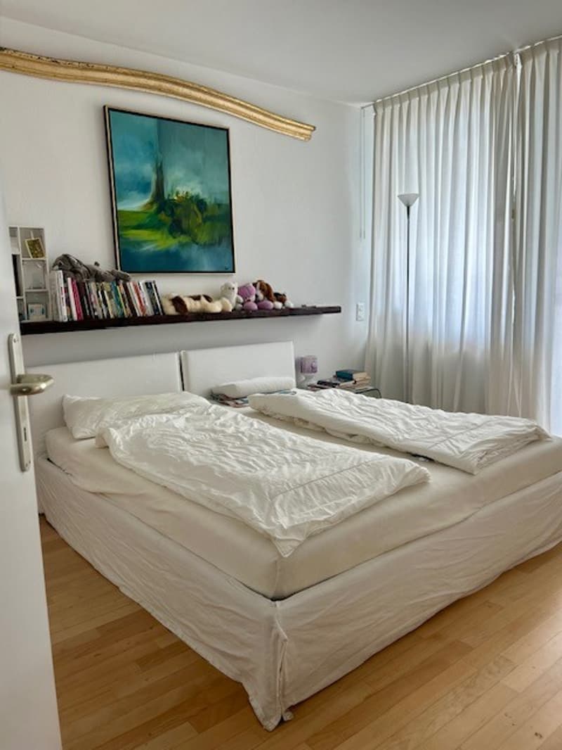 Elegante appartamento ammobiliato direttamente sul lago (7)