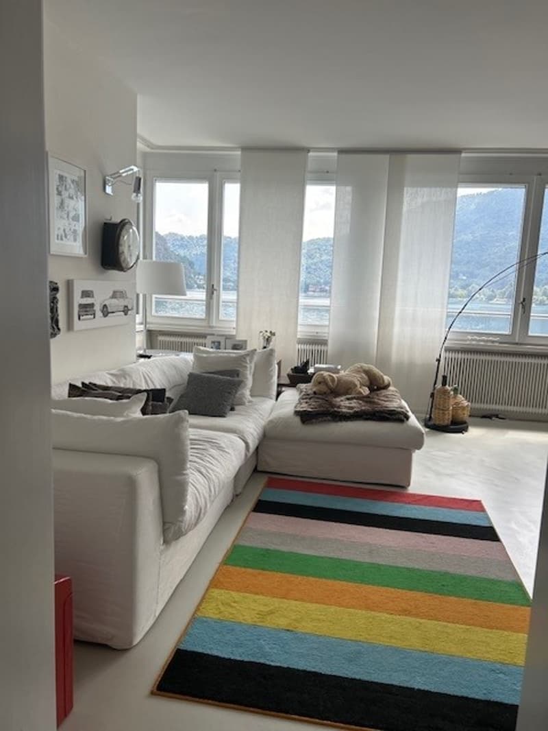 Elegante appartamento ammobiliato direttamente sul lago (2)