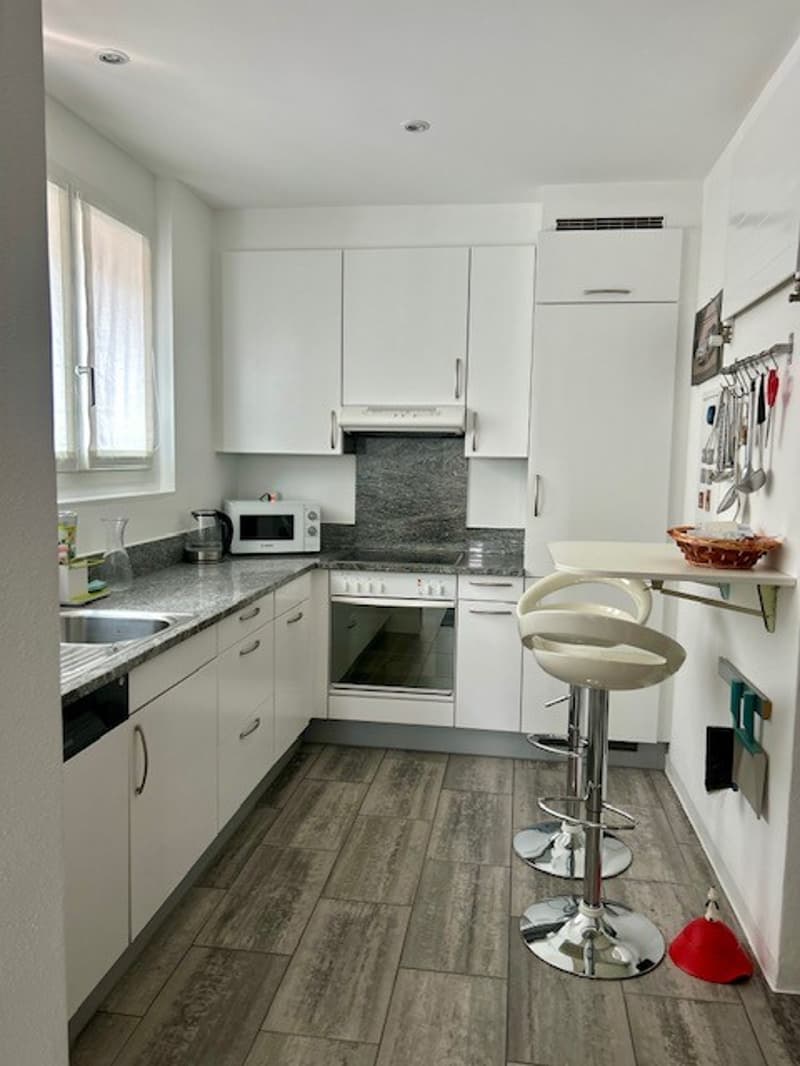 Elegante appartamento ammobiliato direttamente sul lago (5)
