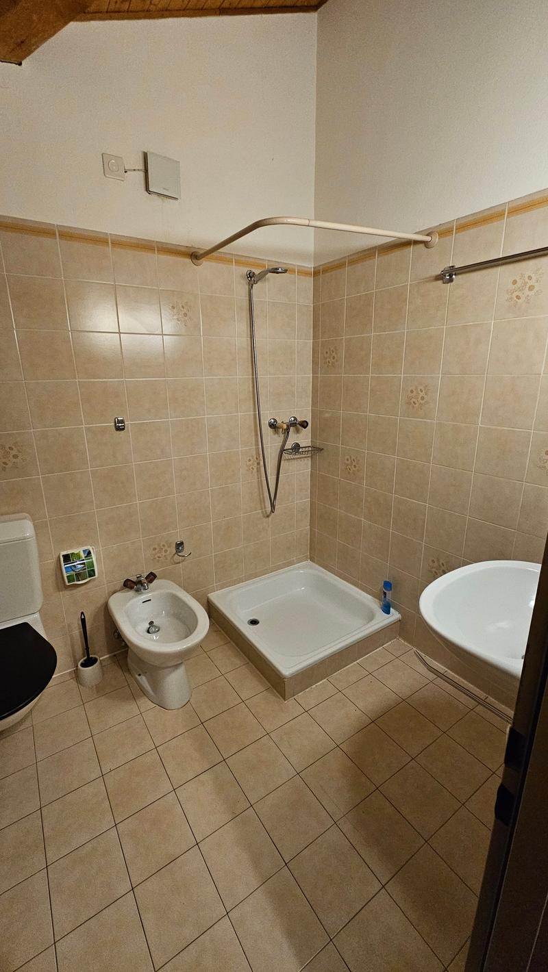 Cerchiamo subentrante per 3.5 locali a Novaggio (8)