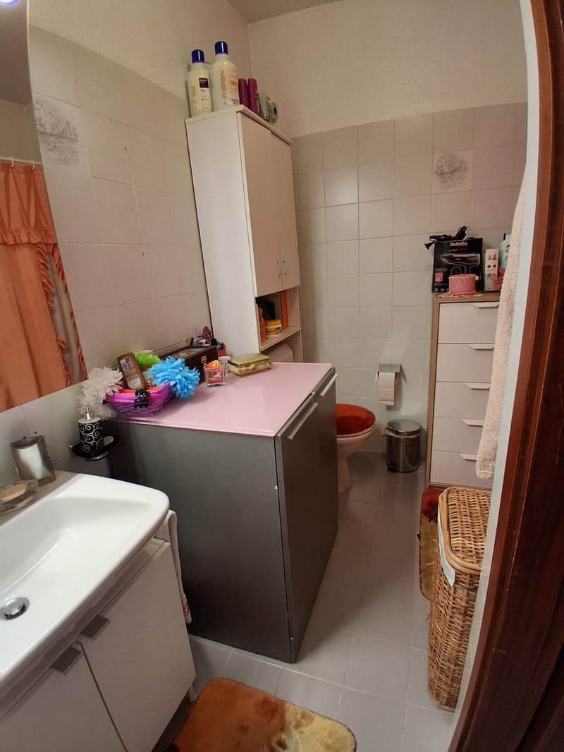 Cercasi subentrante per luminoso appartamento di 2.5 locali a Lugano (8)