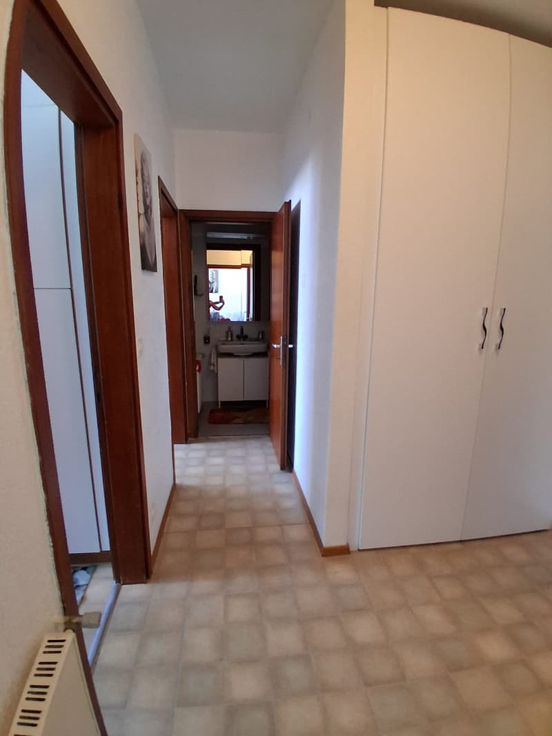 Cercasi subentrante per luminoso appartamento di 2.5 locali a Lugano (5)