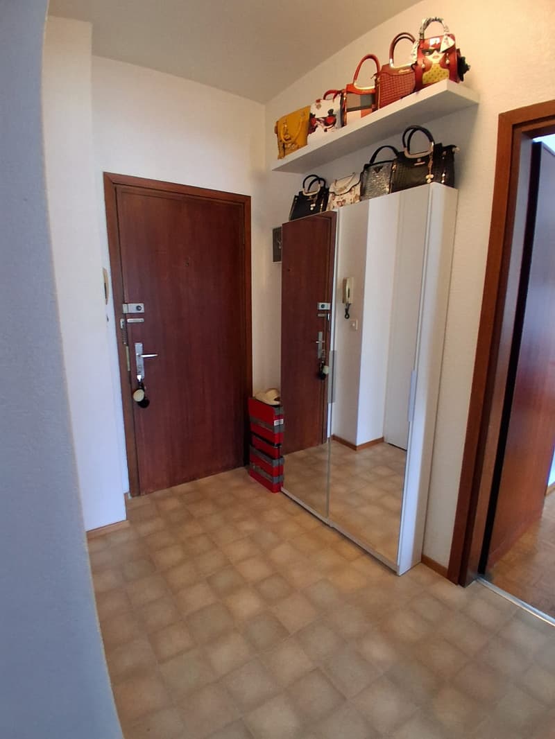 Cercasi subentrante per luminoso appartamento di 2.5 locali a Lugano (4)