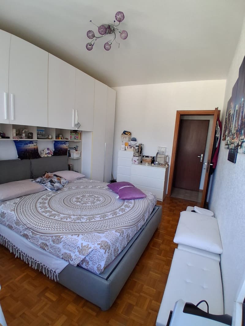 Cercasi subentrante per luminoso appartamento di 2.5 locali a Lugano (7)