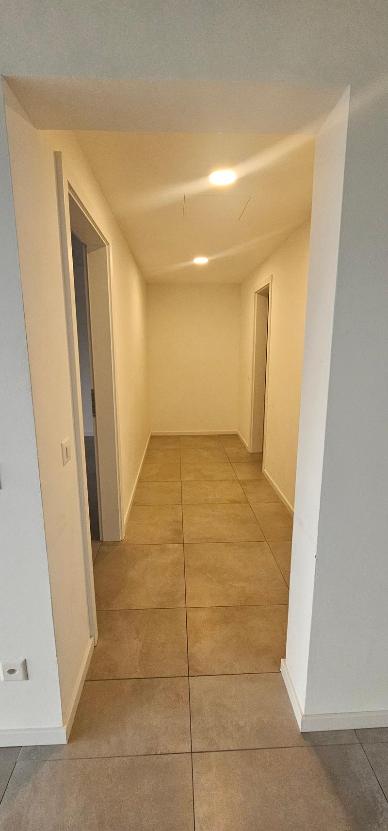 Moderno appartamento 2.5 locali con terrazza e giardino privato a Pazzallo (7)