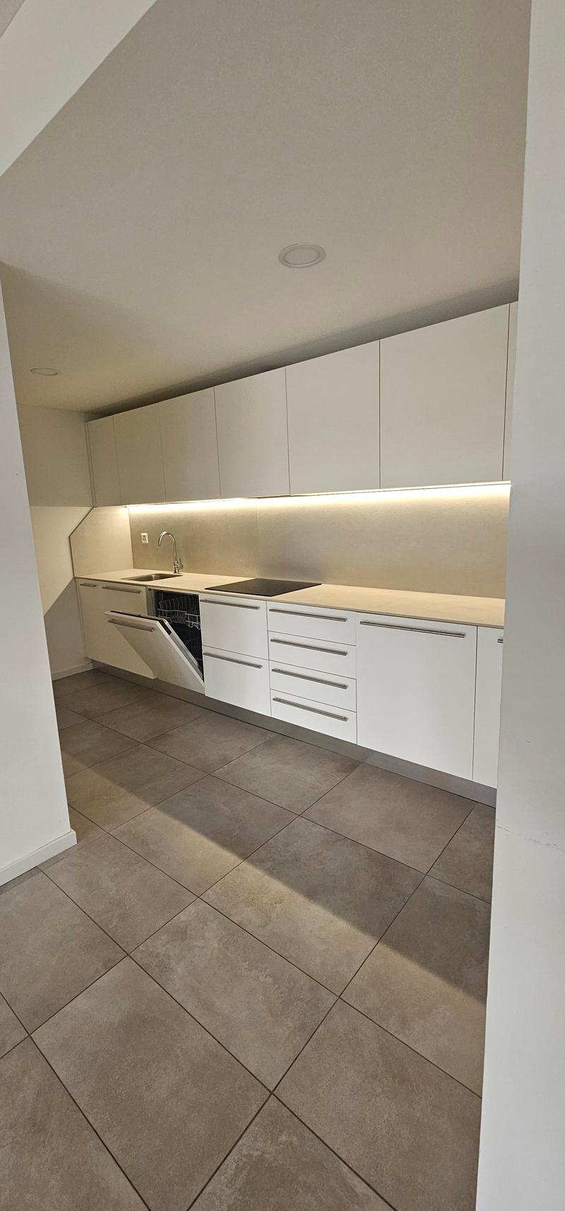 Moderno appartamento 2.5 locali con terrazza e giardino privato a Pazzallo (5)