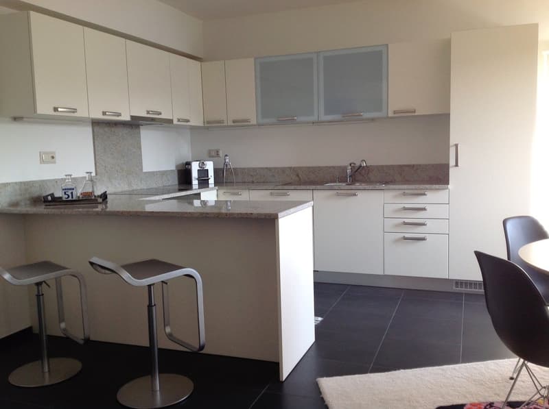 Appartamento arredato 3.5 locali a Lugano Centro con vista lago (7)