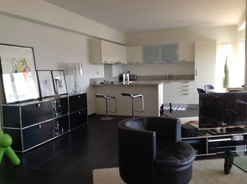 Appartamento arredato 3.5 locali a Lugano Centro con vista lago (3)
