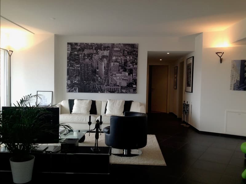 Appartamento arredato 3.5 locali a Lugano Centro con vista lago (2)