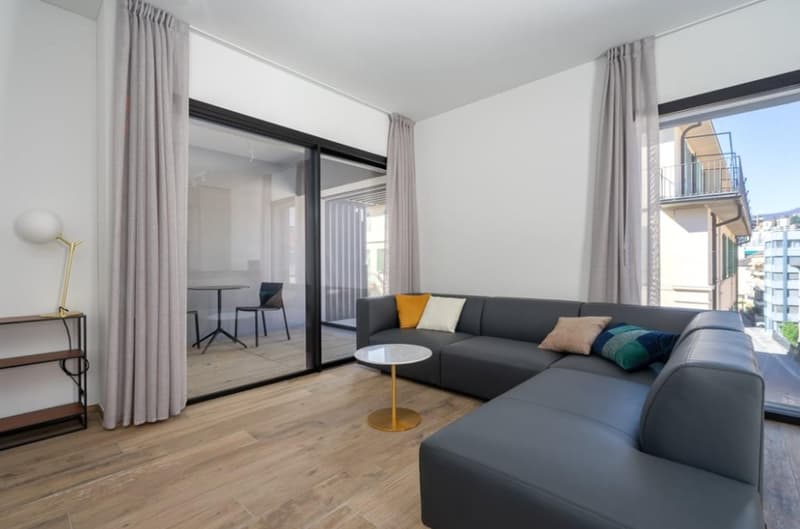 Vivi il nuovo! Elegante Appartamento CLIMATIZZATO nel Cuore di Lugano (5)