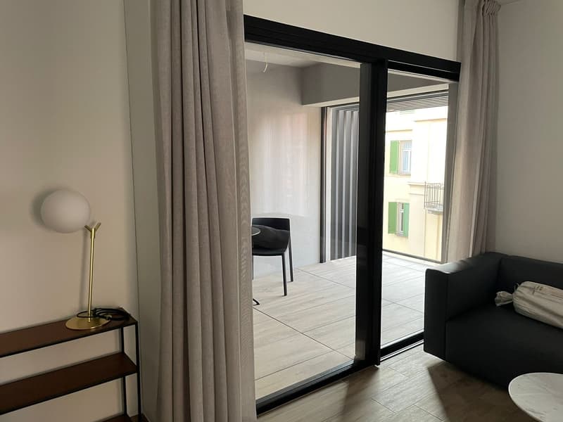 Vivi il nuovo! Elegante Appartamento CLIMATIZZATO nel Cuore di Lugano (3)